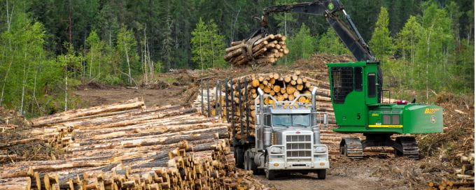Annual timber harvest banner